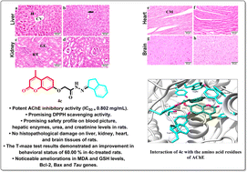 Graphical abstract: Anti-Alzheimer activity of new coumarin-based derivatives targeting acetylcholinesterase inhibition