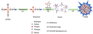 Graphical abstract: Streamlined synthesis of potential dual-emissive fluorescent silicon quantum dots (SiQDs) for cell imaging