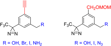 Graphical abstract: Synthetic routes to trifluoromethylphenyl diazirine photolabeling reagents containing an alkyne substituent (TPDYNE) for chemical biology applications