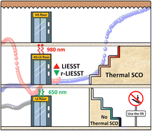 Graphical abstract: Bidirectional photoswitchability in an iron(iii) spin crossover complex: symmetry-breaking and solvent effects