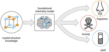 Graphical abstract: Transfer learning for a foundational chemistry model
