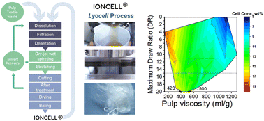 Graphical abstract: Influence of DP and MMD of the pulps used in the Ioncell® process on processability and fiber properties