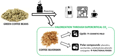 Graphical abstract: Circular valorization of coffee silverskin through supercritical CO2 for the production of functional extracts