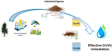 Graphical abstract: Industrial lignins as efficient biosorbents for Cr(vi) water remediation: transforming a waste into an added value material
