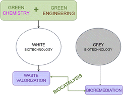 Graphical abstract: White & grey biotechnologies for shaping a sustainable future