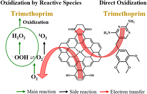 Graphical abstract: Elucidating multiple reaction pathways for the degradation of antibiotics in water by a self-active single-atom zinc catalyst on biochar