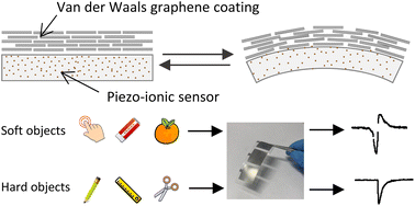 Graphical abstract: A conformal van der Waals graphene coating enabled high-performance piezo-ionic sensor for spatial, gesture, and object recognition