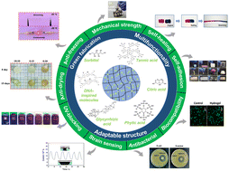 Graphical abstract: Multifunctional small biomolecules as key building blocks in the development of hydrogel-based strain sensors