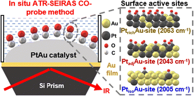Graphical abstract: Revealing surface fine structure on PtAu catalysts by an in situ ATR-SEIRAS CO-probe method