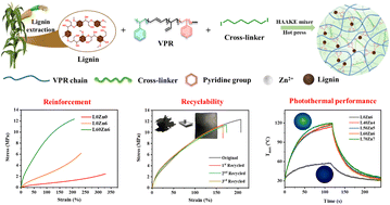 Graphical abstract: A facile strategy to achieve vitrimer-like elastomer composites with lignin as a renewable bio-filler toward excellent reinforcement and recyclability