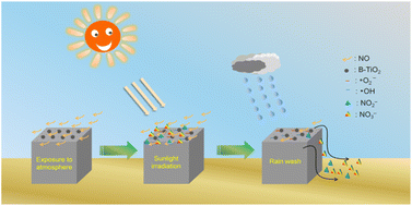 Graphical abstract: Solar-driven photocatalytic removal of NO over a concrete paving eco-block containing black TiO2