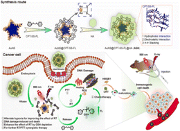 Graphical abstract: GSH-activatable camptothecin prodrug-loaded gold nanostars coated with hyaluronic acid for targeted breast cancer therapy via multiple radiosensitization strategies