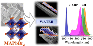 Graphical abstract: Water-induced dimensionality conversion from 3D perovskites to microwires and 2D hybrid halide perovskites