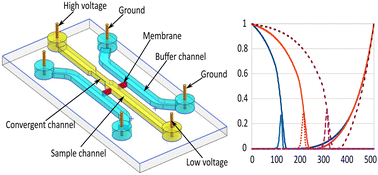 Graphical abstract: Multiphysics analytical and numerical studies of biomolecule preconcentration utilizing ion concentration polarization: a case study of convergent microchannels