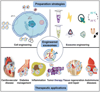 Graphical abstract: A comprehensive review of engineered exosomes from the preparation strategy to therapeutic applications