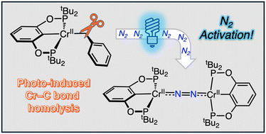 Graphical abstract: Dinitrogen activation at chromium by photochemically induced CrII–C bond homolysis