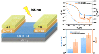 Graphical abstract: Enhancing the performance of organic phototransistors using a sandwich-heterostructure