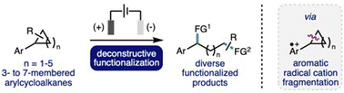 Graphical abstract: Electrochemical deconstructive functionalization of arylcycloalkanes via fragmentation of anodically generated aromatic radical cations