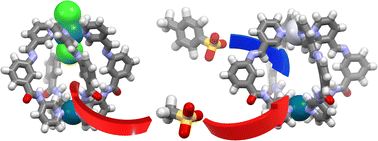 Graphical abstract: Modulating the guest binding ability within mixed-coordination geometry [Pd(μ-L)4RuCl2]2+ and [Pd(μ-L)4Pt]4+ cage architectures