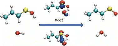 Graphical abstract: The reaction of sulfenic acids with OH and HO2 radicals in different environments