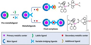 Graphical abstract: Accessing bimetallic complexes through a variable bridging ligand strategy