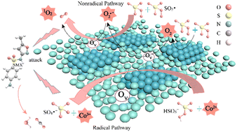 Graphical abstract: Crystallinity regulation-induced organic degradation on ultra-thin 2D Co3O4/SiO2 nanosheets: the critical trigger of oxygen vacancies