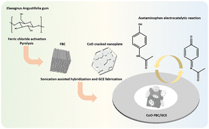Graphical abstract: Improved voltammetric discrimination of acetaminophen and uric acid in urine using CoO biochar nanocomposite