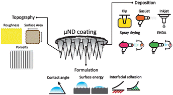 Graphical abstract: Topographical characteristics of 3D printed polymeric microneedle surface and its impact on coating formulation attributes