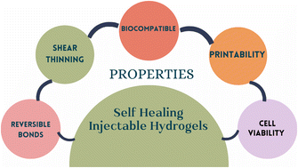 Graphical abstract: Self-healing, injectable chitosan-based hydrogels: structure, properties and biological applications