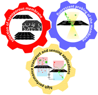 Graphical abstract: Fluorescence methods to probe mass transport and sensing in solid-state nanoporous membranes