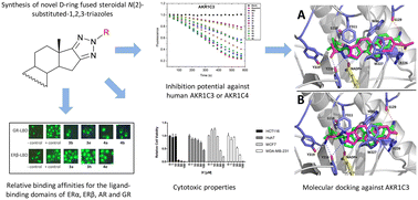 Graphical abstract: Synthesis and biological evaluation of novel D-ring fused steroidal N(2)-substituted-1,2,3-triazoles