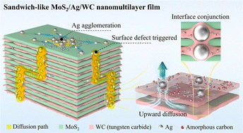 Graphical abstract: Enhanced environmental adaptability of sandwich-like MoS2/Ag/WC nanomultilayer films via Ag nanoparticle diffusion-dominated defect repair