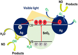 Graphical abstract: Visible light photocatalytic NOx removal with suppressed poisonous NO2 byproduct generation over simply synthesized triangular silver nanoparticles coupled with tin dioxide
