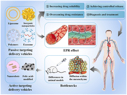 Graphical abstract: Smart delivery vehicles for cancer: categories, unique roles and therapeutic strategies