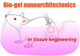 Graphical abstract: Bio-gel nanoarchitectonics in tissue engineering