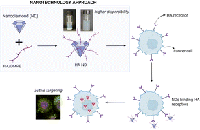 Graphical abstract: Designing functionalized nanodiamonds with hyaluronic acid–phospholipid conjugates for enhanced cancer cell targeting and fluorescence imaging capabilities