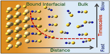 Graphical abstract: Probing surface interactions in CdSe quantum dots with thiocyanate ligands