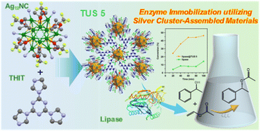 Graphical abstract: A silver cluster-assembled material as a matrix for enzyme immobilization towards a highly efficient biocatalyst