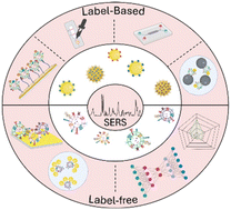 Graphical abstract: Recent advances in SERS assays for detection of multiple extracellular vesicles biomarkers for cancer diagnosis