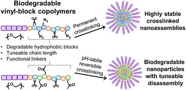 Graphical abstract: Biodegradable mPEG-b-poly(MDO-co-vinyl esters) block copolymers as a viable nanocarrier platform with tuneable disassembly