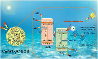Graphical abstract: LSPR-enhanced photocatalytic N2 fixation over Z-scheme POMOF-derived Cu/WO2 modified C-BiOBr with multiple active sites