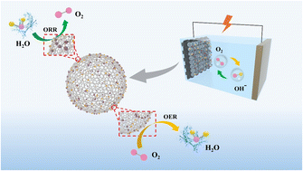 Graphical abstract: Controllable loading of an Fe/Co alloy on heteroatom-doped hollow graphene spheres realized via regulation of small molecules for rechargeable zinc–air batteries