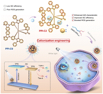 Graphical abstract: Enhanced ROS generation in AIE-active iridium(iii) photosensitizers by cationization engineering for advanced photodynamic therapy