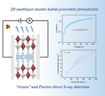 Graphical abstract: Multilayered double perovskite ferroelectric for green high-performance self-powered X-ray detection