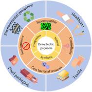 Graphical abstract: Piezoelectric polymers and their applications in antimicrobial fields
