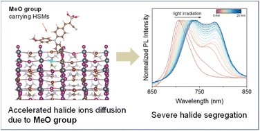 Graphical abstract: Correlating halide segregation of wide-bandgap perovskites with the methoxy group in organic hole-selective materials