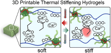 Graphical abstract: 3D printable and mechanically tunable hydrogels achieved through hydrophobic and ionic interactions