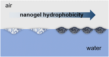 Graphical abstract: Nanogels with tailored hydrophobicity and their behavior at air/water interfaces