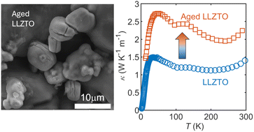 Graphical abstract: Thermal properties and lattice anharmonicity of Li-ion conducting garnet solid electrolyte Li6.5La3Zr1.5Ta0.5O12