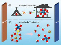 Graphical abstract: Breaking hydrogen-bonds in aqueous electrolytes towards highly reversible zinc-ion batteries